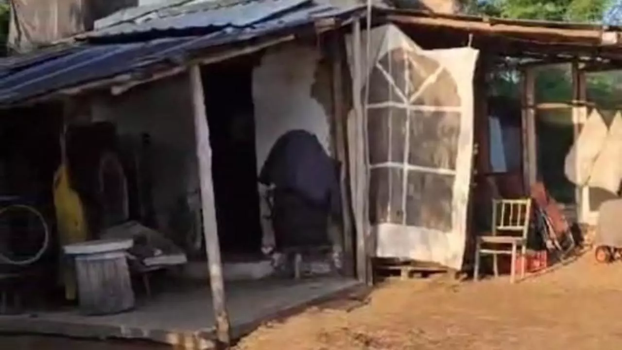 Doi soți din Bihor au primit condamnări pentru exploatarea unui bărbat cu dizabilitate intelectuală