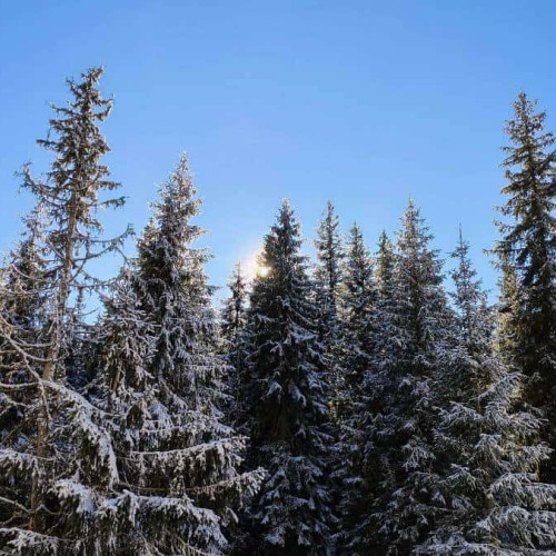 Temperaturi în creștere ușoară în Alba cu vreme predominant norosă și perioade cu soare