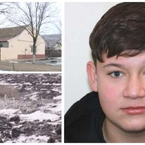 Tribunalul Timiș a dispus arestarea preventivă a celor doi adolescenți acuzați de uciderea unui băiat de 15 ani