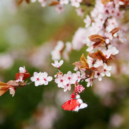 Vreme schimbătoare în Muntenia pentru următoarele două săptămâni