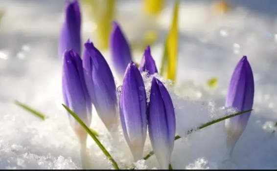 Valorile termice rămân peste medie în următoarele săptămâni în România