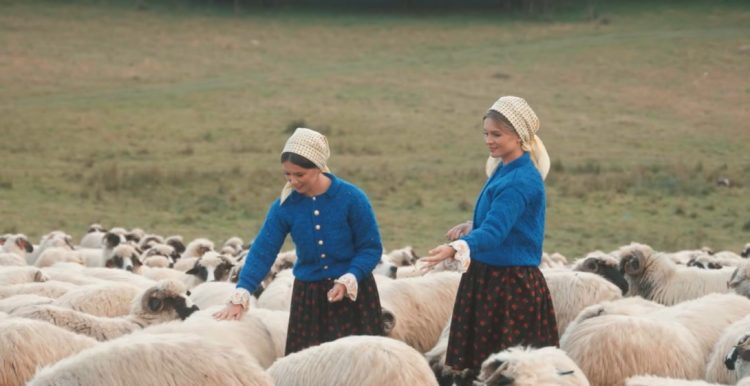 Gemenele Folclorului Maramureșean lansează o nouă piesă dedicată ciobanului