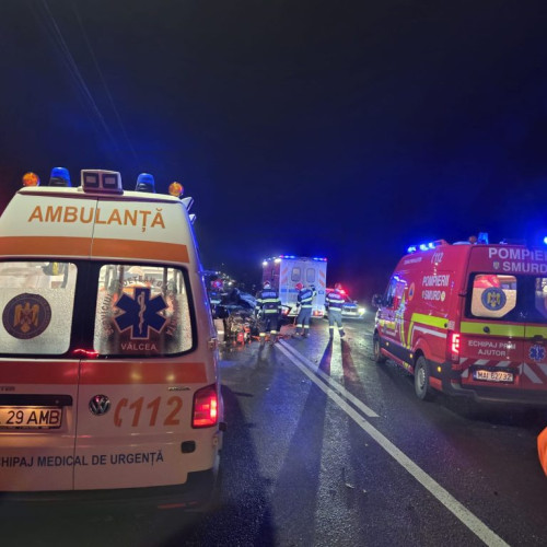 Accident grav pe Drumul Național 7, la Seaca