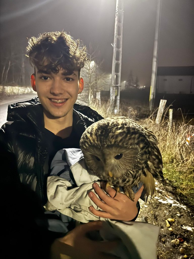 O bufniță rănită din Argeș salvată de tineri emoționați