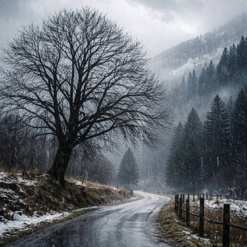 Dâmbovița, sub avertizare meteorologică Cod Galben de ninsori și vânt puternic