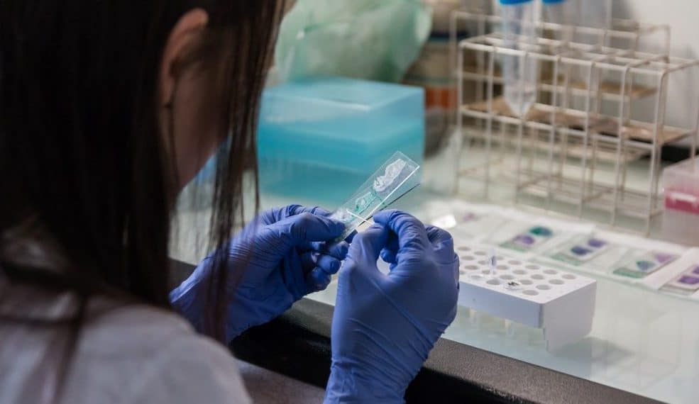 Cercetătorii de la UBC fac progrese majore în terapia cancerului