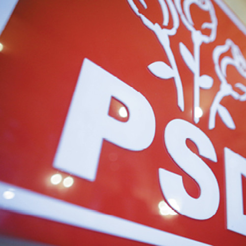 PSD susține măsuri economice corelate cu reformele din administrație