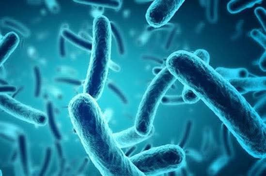 Declanșare alertă de listerioză în Brăila după un deces