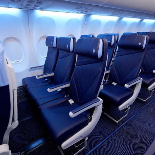 ‘A betrayal’: Southwest’s new plus size policy leaves some passengers unable to fly - oregonlive.com