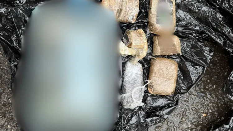 Destructurată o rețea de trafic internațional de droguri în Turda