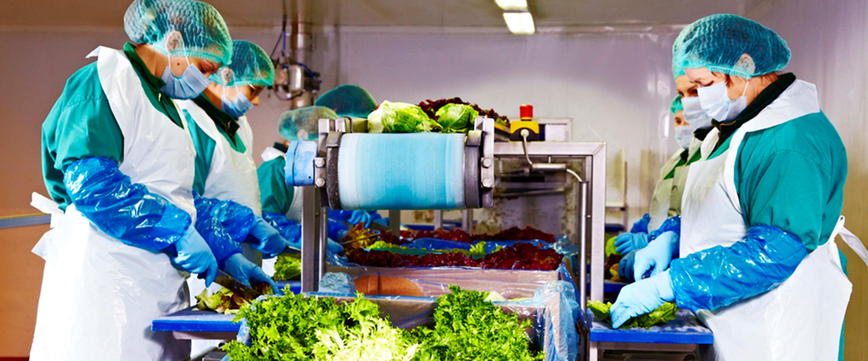 Eisberg răspunde acuzațiilor privind siguranța salatelor sale