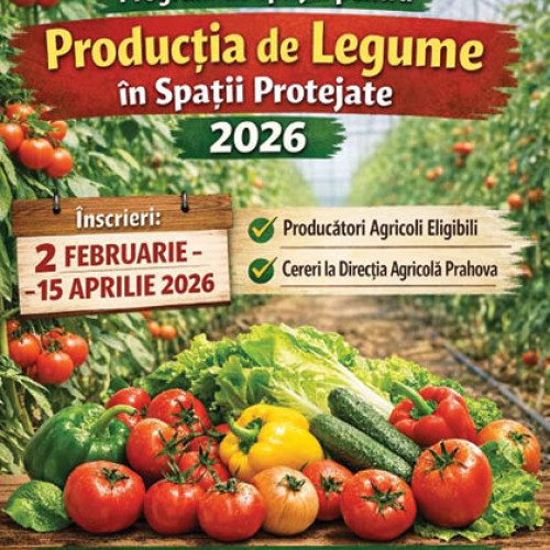 Oficialii locali lansează un nou proiect pentru tineri în 2026