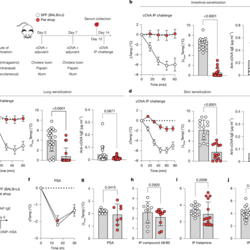 Imprimarea imunologică determinată de mediu protejează împotriva alergiilor