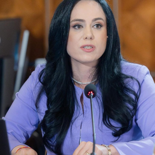 Simona Bucura-Oprescu subliniază importanța relansării economice