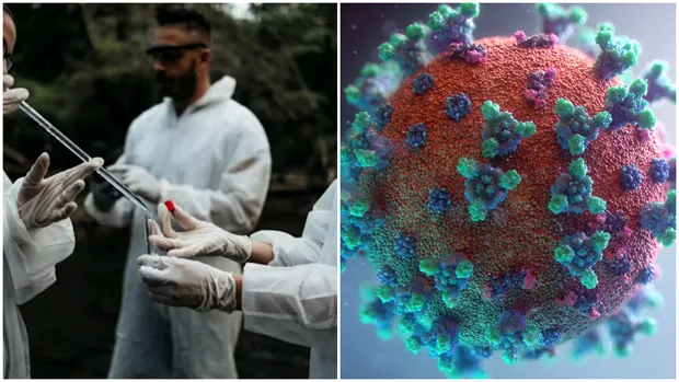 Primul caz de Chikungunya în România confirmat în București