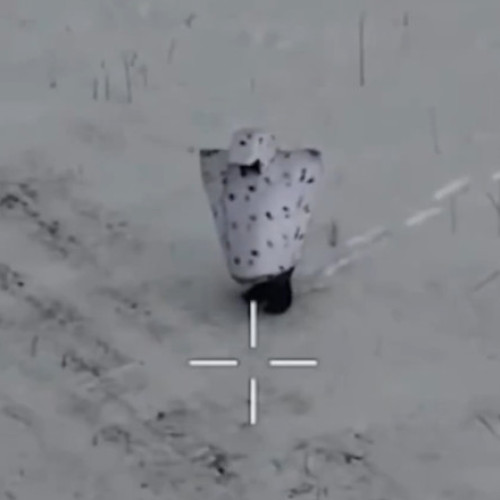 Armata rusă testează o metodă de camuflaj neobișnuită, inspirată de pinguini