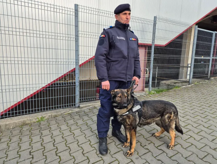 Jandarmii pregătesc măsuri de siguranță pentru meciul CFR Cluj – Metaloglobus