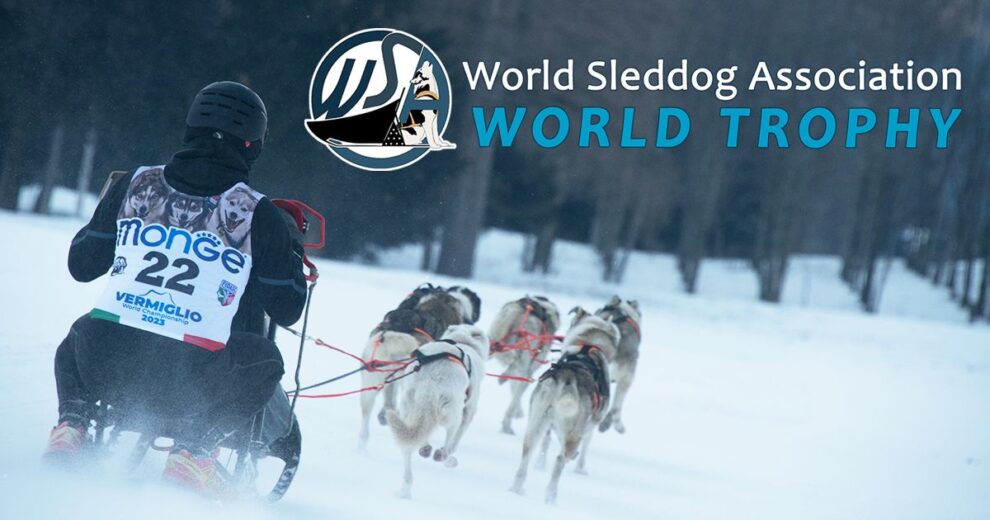 Campionatul mondial de sleddog 2026 a fost anulat din cauza vremii