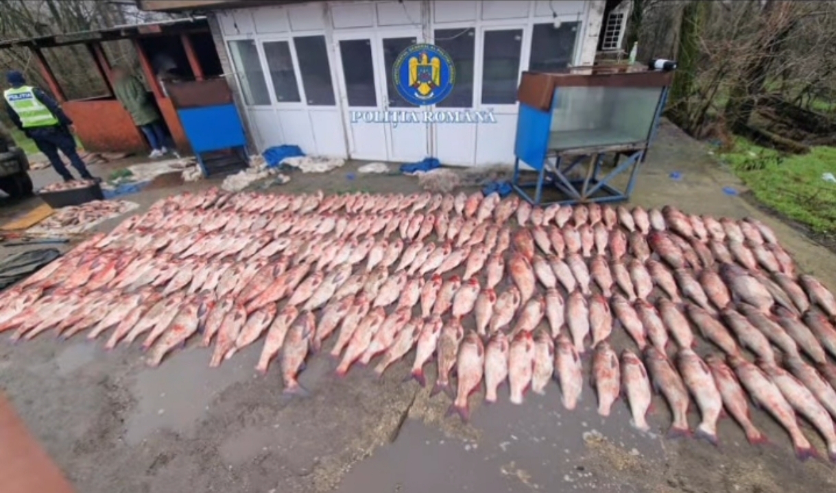 Cercetări după descoperirea unor unelte de pescuit neautorizate în Teleorman