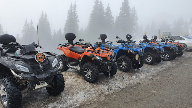 Bărbat din Constanța prins băut la volan pe un drum montan din Gorj