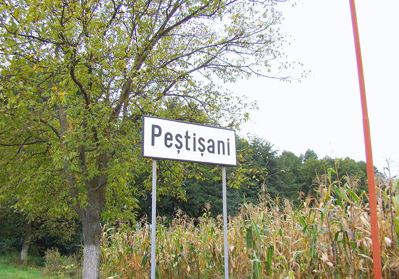 Lansare platformă digitală pentru promovarea lui Constantin Brâncuși