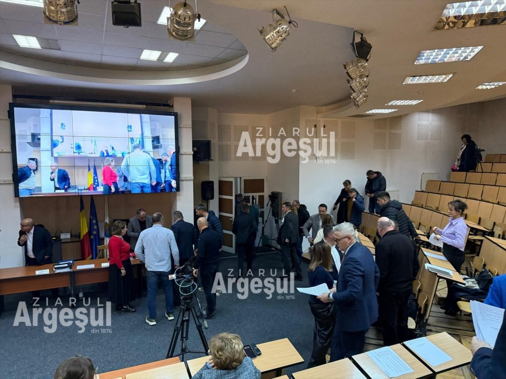 Ana Stan demisionează din Consiliul Local Pitești pentru a se concentra pe proiecte personale