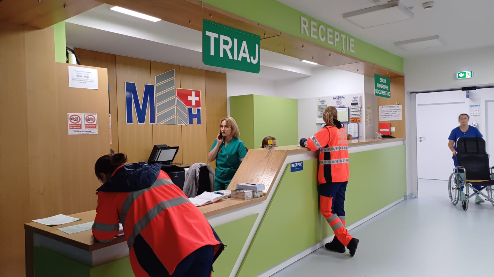 Incendiu devastator în Ștefănești: o bătrână și fiul ei intoxicați