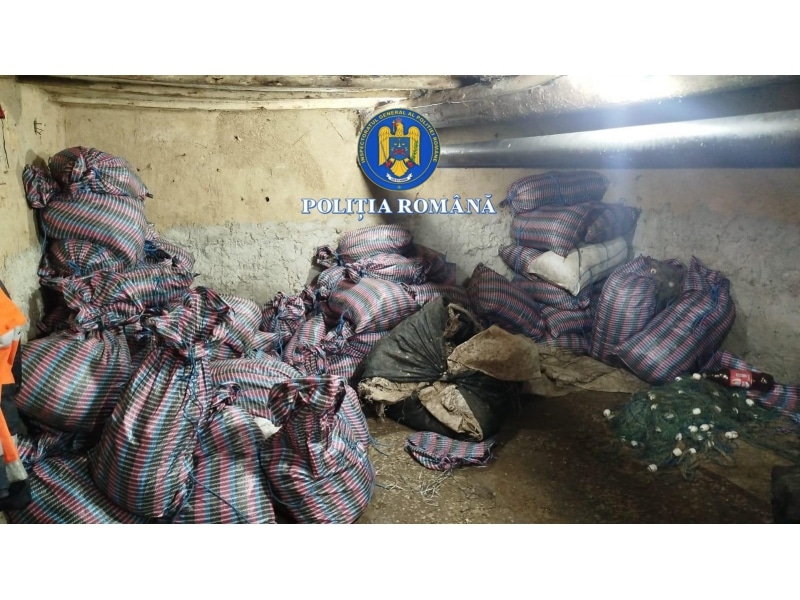 Acțiuni împotriva pescuitului ilegal în județul Tulcea