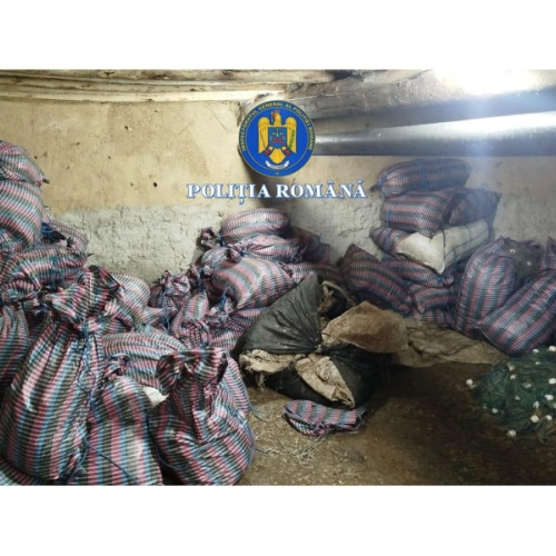 Acțiuni împotriva pescuitului ilegal în județul Tulcea