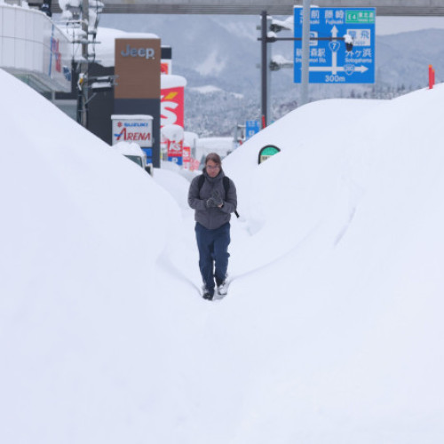 Ninsorile puternice din Japonia duc la 30 de decese și sute de răniți