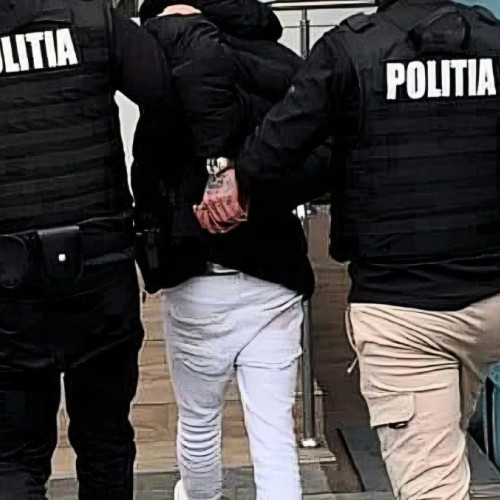 Percheziție în Mehedinți într-un caz de proxenetism