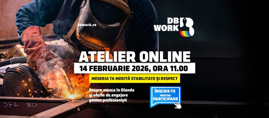 Cresc din ce în ce mai mult oportunitățile de muncă în Olanda pentru români