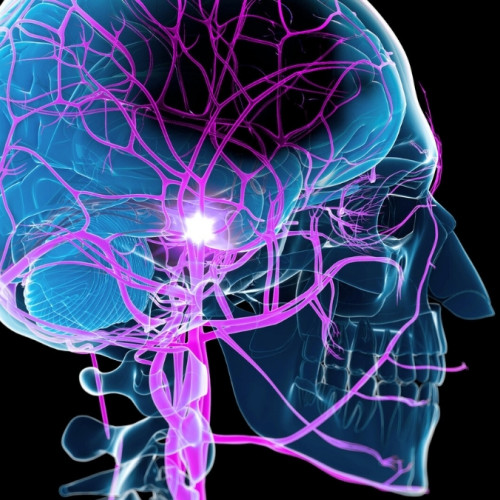 Un studiu dezvăluie o metodă neașteptată de a îmbunătăți recuperarea după un accident vascular cerebral