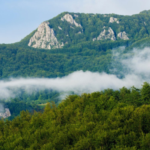 Descoperire importantă de minerale rare în Munții Apuseni