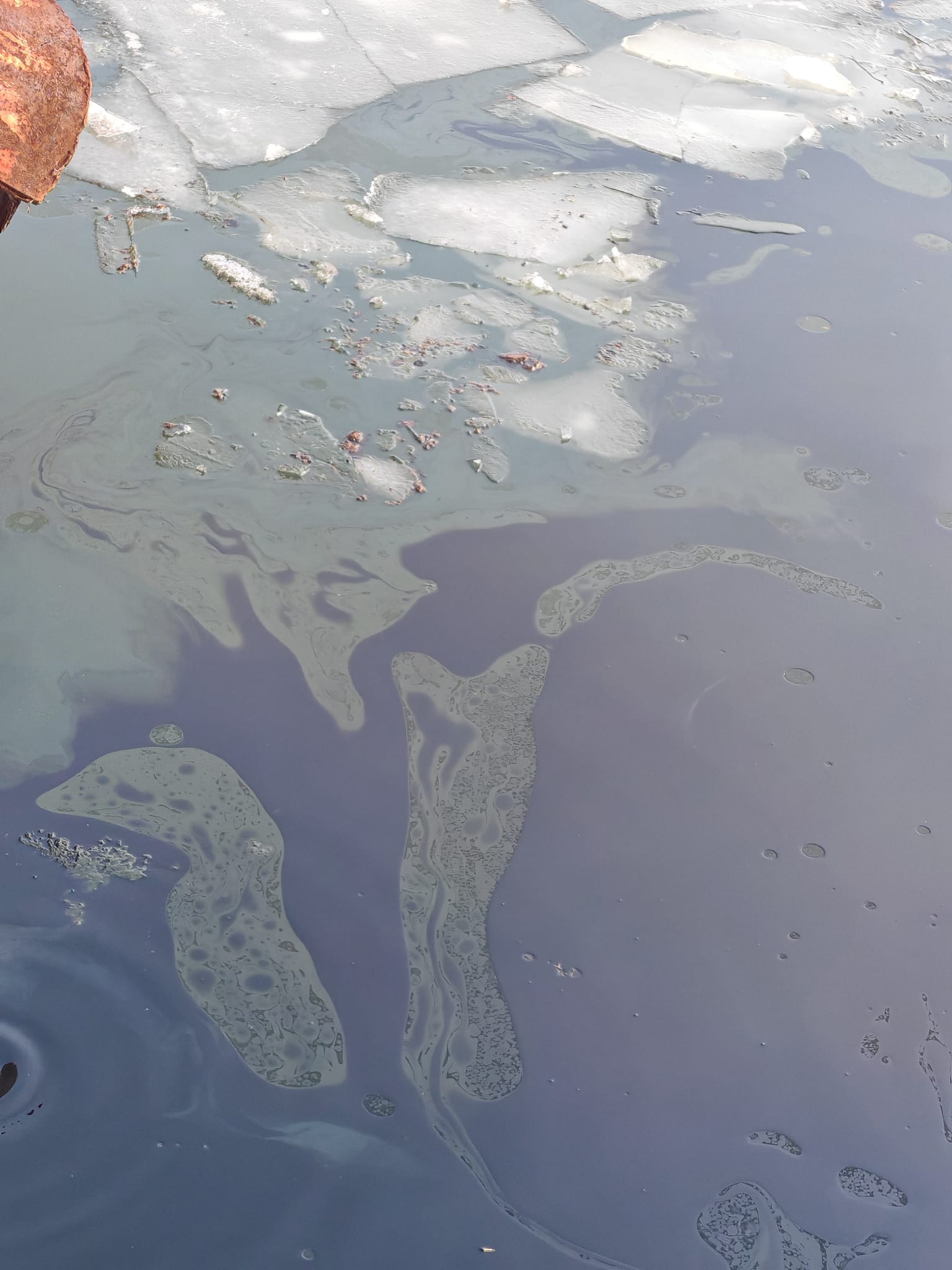 Posibilă poluare cu produse petroliere în Giurgiu după scufundarea unui împingător