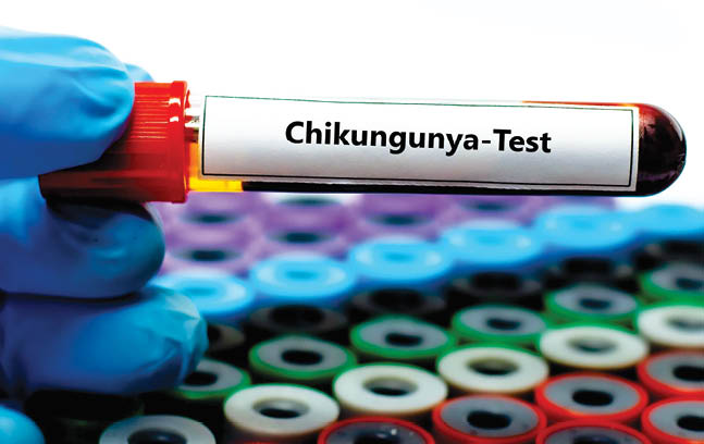 Virusul Chikungunya a ajuns în România
