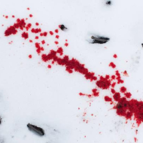 Polițist atacat cu cuțitul pe o stradă din Baia Mare