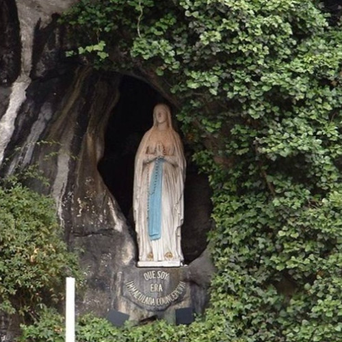 Ziua Mondială a Bolnavului, sărbătorită la Spitalul Județean din Baia Mare