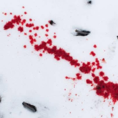 Polițist înjunghiat în Baia Mare de un adolescent de 16 ani