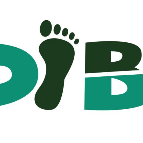 Programul Pedibus din Sfântu Gheorghe, record de participare pentru elevi