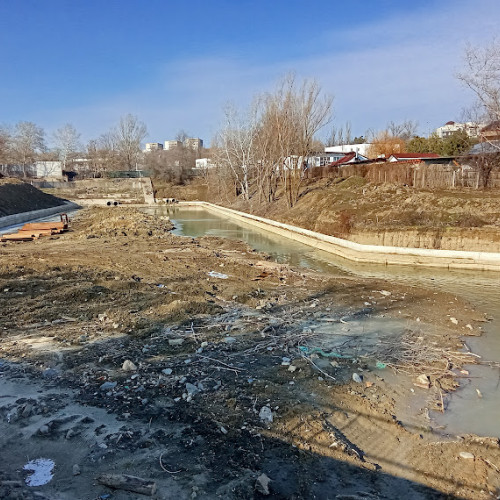 Defrișări pe malul Dunării, în Galați: Investiții și controverse active