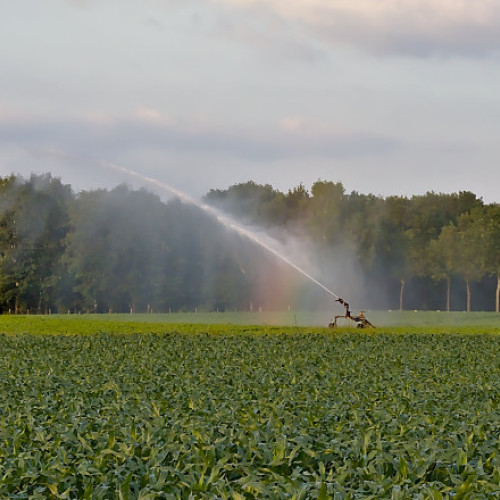 Fondurile pentru proiectele de apă trebuie prioritizate în viitorul buget UE, avertizează ministrul Mediului, Diana Buzoianu