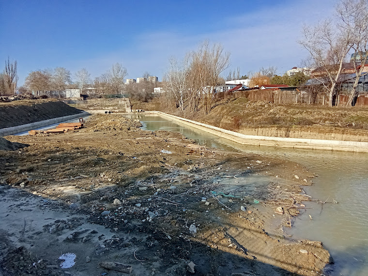 Defrișările de pe malul Dunării la Galați continuă fără muncitori pe șantier