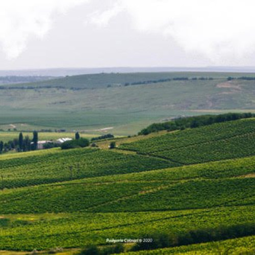 Branduri ieșene în topul celor 50 de mărci românești din 2026