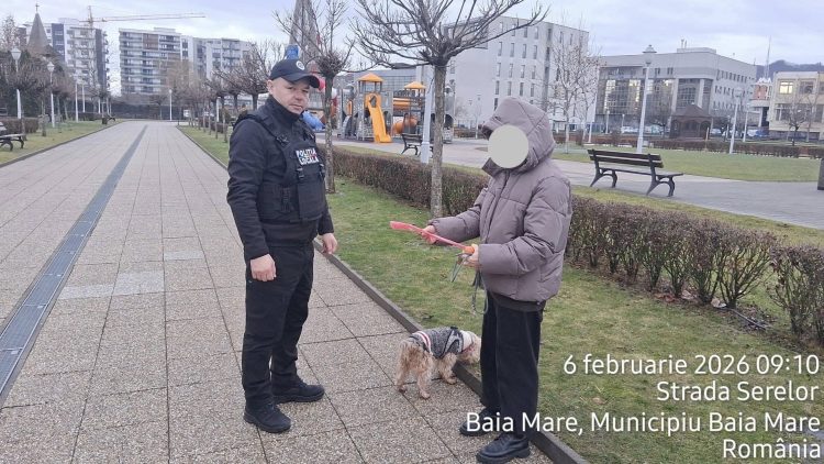 Autoritățile din Baia Mare amintesc de responsabilitățile proprietarilor de câini