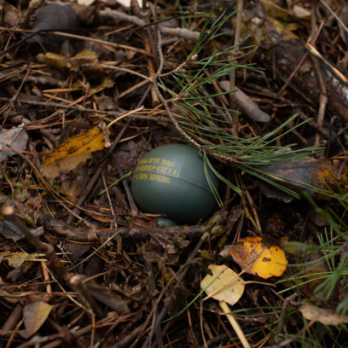 Grenade defensive descoperite în municipiul Aiud