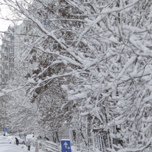 Ninsori și vânt puternic în întreaga țară, avertizările meteorologice rămân valabile