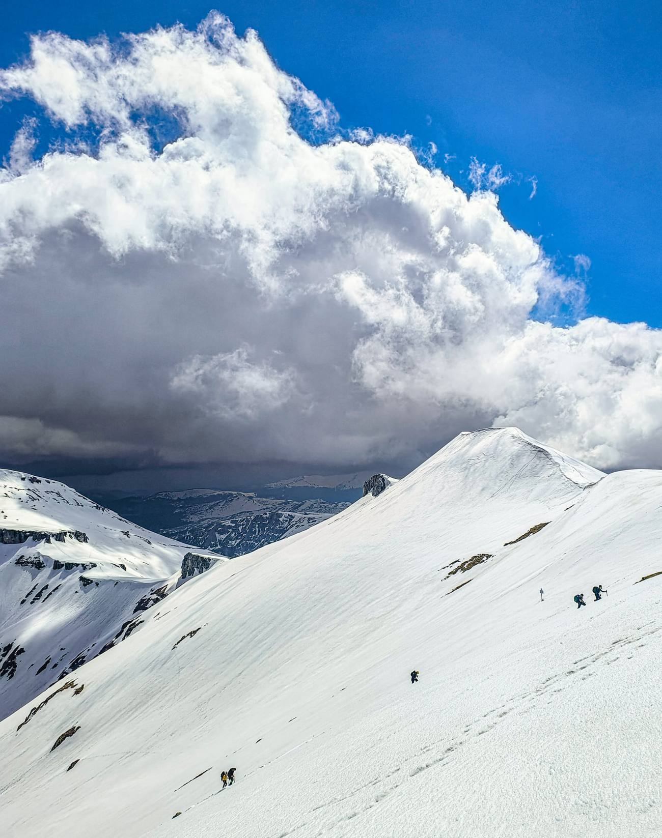 Trei schiori au murit în avalanșe în apropierea Jocurilor Olimpice de iarnă