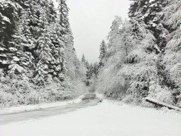 ANM avertizează: Ninsori și vreme rece afectează întreaga țară