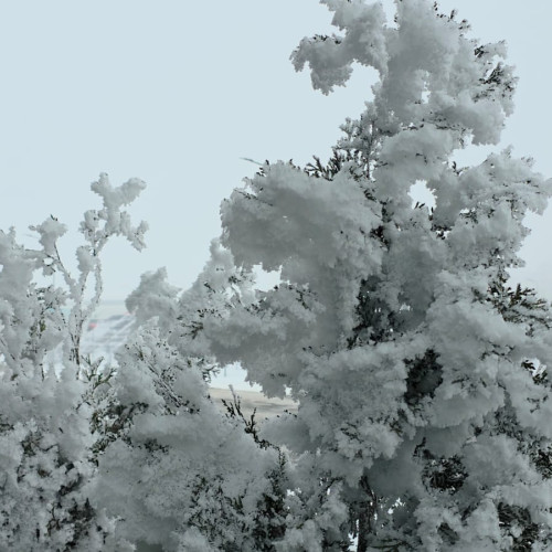 Cod Galben de ger emis pentru județul Botoșani până marți dimineață